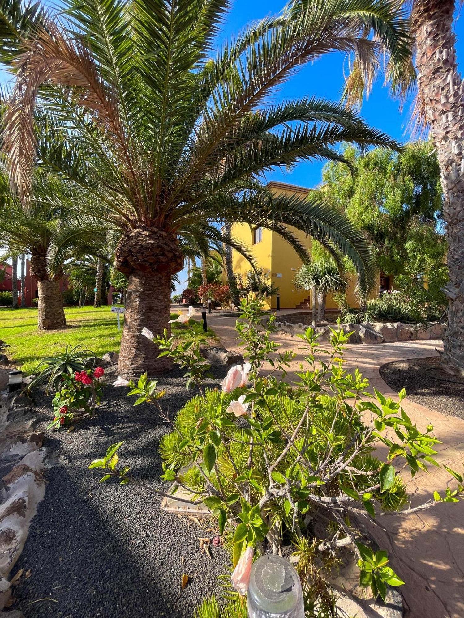 Karol By Holidays Fuerteventura Appartamento *